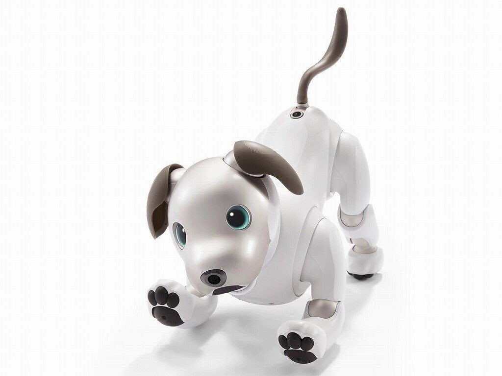 Sony Aibo AI-infused robot dog