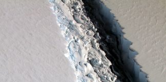 Massive rift in Larsen C of Antartica