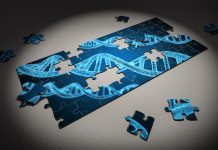 Cripsr gene editing puzzle
