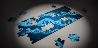 Cripsr gene editing puzzle