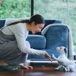 Woman playing with the Sony aibo AI puppy